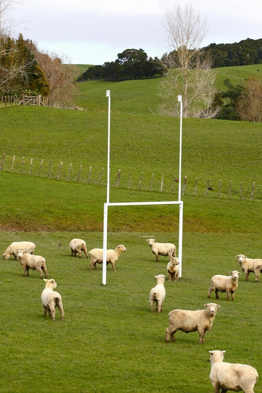 news-rugbimages-09
